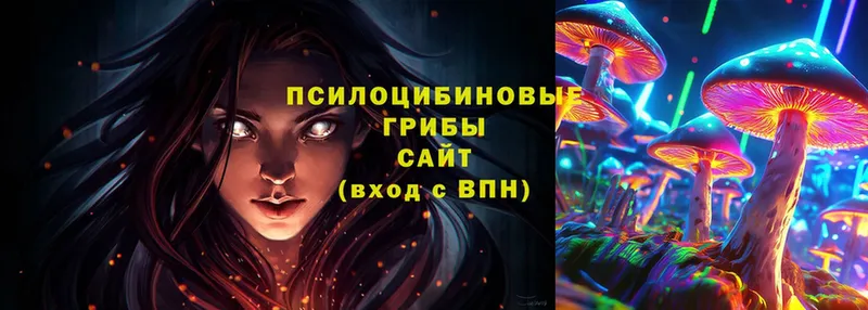 Псилоцибиновые грибы Magic Shrooms  Заволжск 